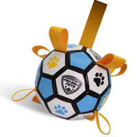 Pro Ball Pets Dog Soccer Ball with Grab Tabs, Size 2, 6 inches, Blue/Yellow - 1208