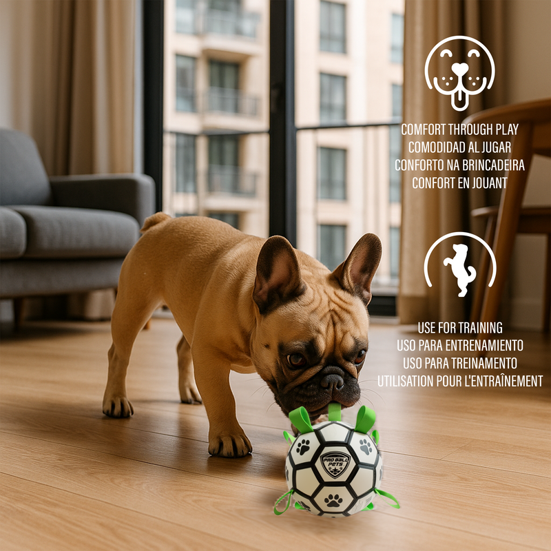 Pro Ball Pets Dog Soccer Ball with Grab Tabs, Size 3, 7 inches, White/Green - 1219