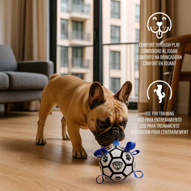 Pro Ball Pets Dog Soccer Ball with Grab Tabs, Size 2, 6 inches, White/Blue - 1076