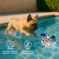 Pro Ball Pets Dog Soccer Ball with Grab Tabs, Size 2, 6 inches, White/Blue - 1076
