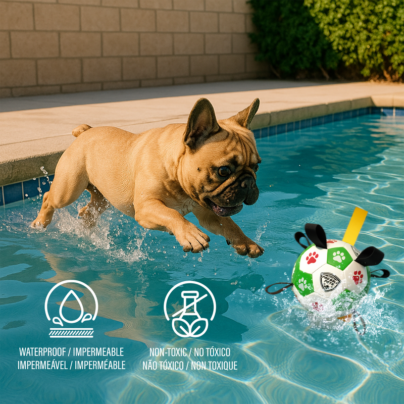 Pro Ball Pets Dog Soccer Ball with Grab Tabs, Size 2, 6 inches, Green/Red - 1209